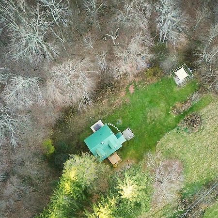Cozy Cottage With Jacuzzi And Fire Pit And Reading Nook! Livingston Manor المظهر الخارجي الصورة