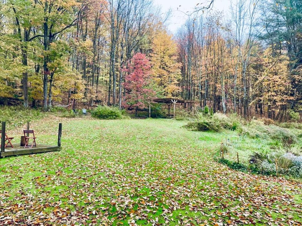 Cozy Cottage With Jacuzzi And Fire Pit And Reading Nook! Livingston Manor المظهر الخارجي الصورة