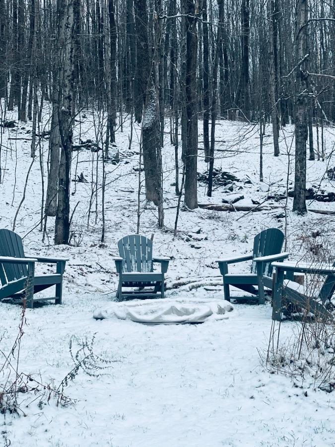 Cozy Cottage With Jacuzzi And Fire Pit And Reading Nook! Livingston Manor المظهر الخارجي الصورة